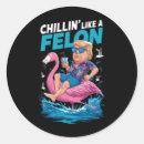 Search for felon stickers America