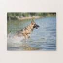 Search for german shepherd puzzles Pet