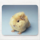 Search for 1 colour standard mouse mats Yellow