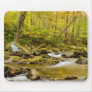 Search for appalachia mouse mats Forest