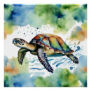 Search for turtle lovers posters Ocean