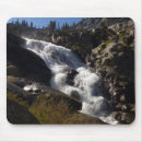 Search for sequoia mouse mats Sequoia national park