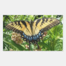 Search for swallowtail stickers Nature