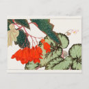 Search for begonia postcards Plants
