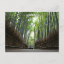 Search for kyoto postcards Bamboo