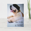Search for huge christmas cards St bernard