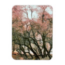 Search for frosty christmas cards Tree