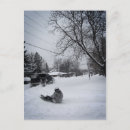 Search for winter fun postcards Seasons greetings