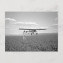 Search for crops postcards Antique