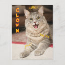 Search for grumpy vertical postcards Adorable