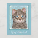 Search for grey cat postcards Kitten