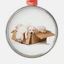 Search for boxes christmas tree decorations Dogs