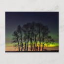 Search for mike postcards Danita delimont