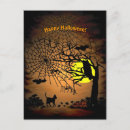Search for thanksgiving cat postcards Pumpkin