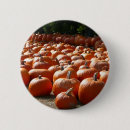 Search for pumpkin patch badges Thanksgiving