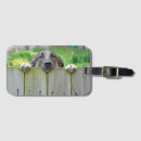 Search for shepherd travel accessories Cute