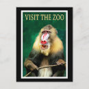 Search for rain forest vertical postcards Animal
