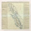 Search for baja coasters Mexico