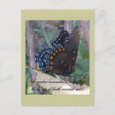 Search for leaf insect postcards Nature