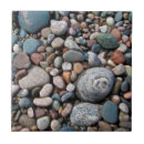 Search for midwest tiles Anna miller