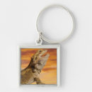 Search for dragon scales key rings Wildlife