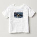 Search for haliaeetus tshirts Bald eagle