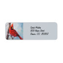 Search for cardinals return address labels Nature