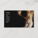 Search for pet photography business cards Cats