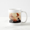 Search for snout mugs Pig