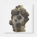 Search for natural sciences magnets Crystal