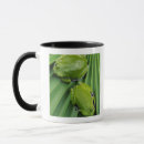 Search for green tree frog mugs Close up