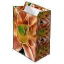 Search for daylily Yellow
