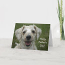Search for dog mothers day cards Puppy