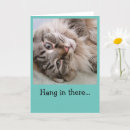 Search for funny hang in there cards Thinking of you