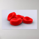 Search for four objects Digitally generated image