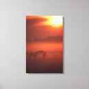 Search for horse canvas prints Cowboy