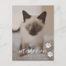 Search for adopted mother cards Cat