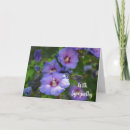 Search for purple hibiscus cards Flower