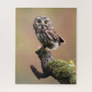 Search for owl puzzles Outdoors