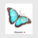 Search for morphos stickers Insect