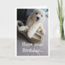 Search for warm fuzzy cards Fun