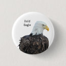 Search for raptor badges Bird of prey