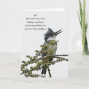 Search for kingfish cards Animals