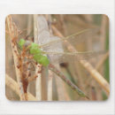 Search for flying dragon mouse mats Dragonfly