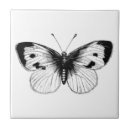 Search for insect tiles Illustration