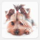 Search for yorkie stickers Dog