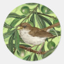 Search for olive tree stickers Botanical