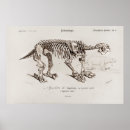 Search for animal skeleton art Extinct