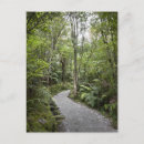 Search for forest path postcards Hiking