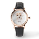Search for corgis accessories Puppy